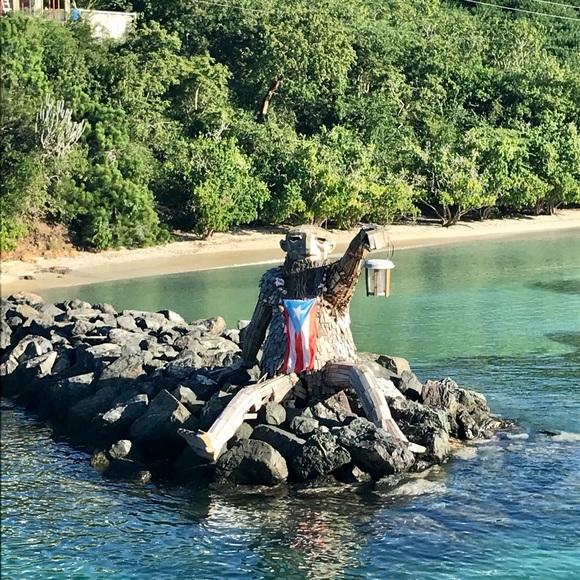 Meet your Posher, Whitney - Picture 4 of 8